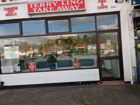 Terry Ling's Chinese & Fish Bar photo